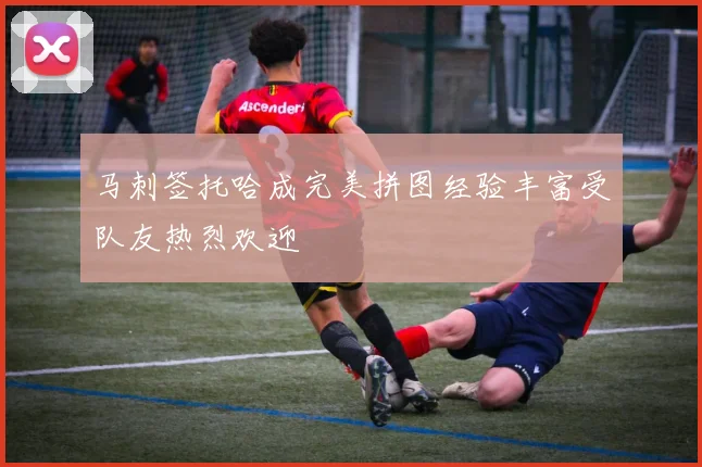 马刺签托哈成完美拼图经验丰富受队友热烈欢迎