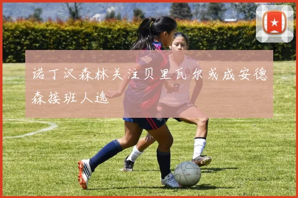 诺丁汉森林关注贝里瓦尔或成安德森接班人选