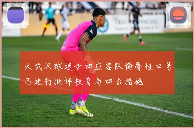 大武汉球迷会回应客队侮辱性口号已进行批评教育与回击措施